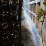 Weinflaschen liegend in einer Wand aus Steinnischen, daneben eine Weinrebe
