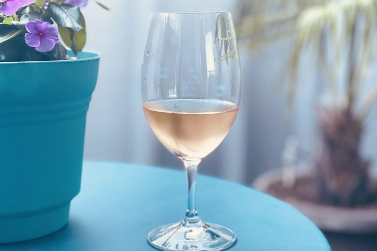Glas Roséwein auf einem türkisfarbenen Tisch neben einem Blumentopf