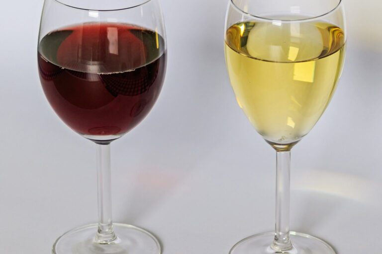 Ein Glas Rotwein und ein Glas Weißwein nebeneinander vor hellem Hintergrund