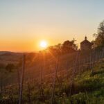 Weinberg mit Kapelle im Licht der untergehenden Sonne