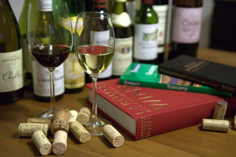 Weinbücher, Korken und zwei Weingläser mit Rot- und Weißwein vor mehreren Weinflaschen