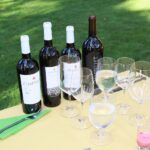 Mehrere Weinflaschen und Weingläser auf einem gedeckten Tisch im Garten